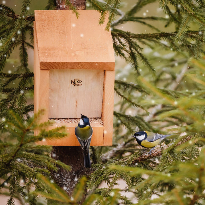 TARJOUS: 2 x Syöppö